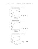 METHODS AND COMPOSITIONS FOR ENHANCING THE EFFICACY AND SPECIFICITY OF RNA SILENCING diagram and image