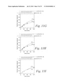 METHODS AND COMPOSITIONS FOR ENHANCING THE EFFICACY AND SPECIFICITY OF RNA SILENCING diagram and image