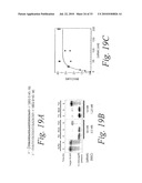 METHODS AND COMPOSITIONS FOR ENHANCING THE EFFICACY AND SPECIFICITY OF RNA SILENCING diagram and image