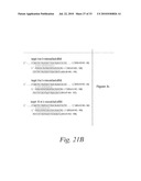 METHODS AND COMPOSITIONS FOR ENHANCING THE EFFICACY AND SPECIFICITY OF RNA SILENCING diagram and image