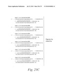 METHODS AND COMPOSITIONS FOR ENHANCING THE EFFICACY AND SPECIFICITY OF RNA SILENCING diagram and image