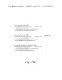 METHODS AND COMPOSITIONS FOR ENHANCING THE EFFICACY AND SPECIFICITY OF RNA SILENCING diagram and image