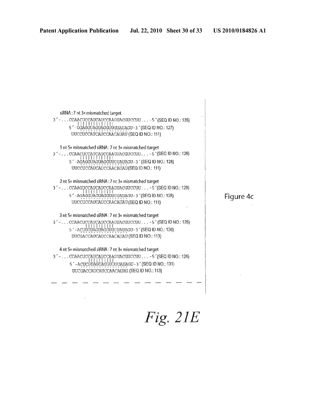 METHODS AND COMPOSITIONS FOR ENHANCING THE EFFICACY AND SPECIFICITY OF RNA SILENCING - diagram, schematic, and image 31