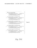 METHODS AND COMPOSITIONS FOR ENHANCING THE EFFICACY AND SPECIFICITY OF RNA SILENCING diagram and image