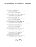 METHODS AND COMPOSITIONS FOR ENHANCING THE EFFICACY AND SPECIFICITY OF RNA SILENCING diagram and image