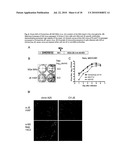 Construction of Recombinant Virus Vaccines by Direct Transposon-Mediated Insertion of Foreign Immunologic Determinants into Vector Virus Proteins diagram and image