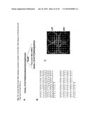 Construction of Recombinant Virus Vaccines by Direct Transposon-Mediated Insertion of Foreign Immunologic Determinants into Vector Virus Proteins diagram and image