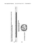 Construction of Recombinant Virus Vaccines by Direct Transposon-Mediated Insertion of Foreign Immunologic Determinants into Vector Virus Proteins diagram and image