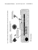 Construction of Recombinant Virus Vaccines by Direct Transposon-Mediated Insertion of Foreign Immunologic Determinants into Vector Virus Proteins diagram and image