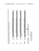 Construction of Recombinant Virus Vaccines by Direct Transposon-Mediated Insertion of Foreign Immunologic Determinants into Vector Virus Proteins diagram and image