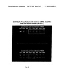 Devices, Systems and Methods for Improving Memory and/or Cognitive Function Through Brain Delivery of Sirna diagram and image