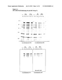 VACCINE diagram and image