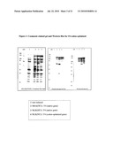 VACCINE diagram and image