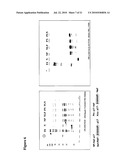 VACCINE diagram and image