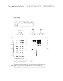 VACCINE diagram and image