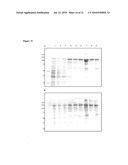 VACCINE diagram and image