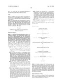 VACCINE diagram and image