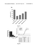 Small-molecule nucleotide aptamer for hepatitis C virus, preparation method and use thereof diagram and image