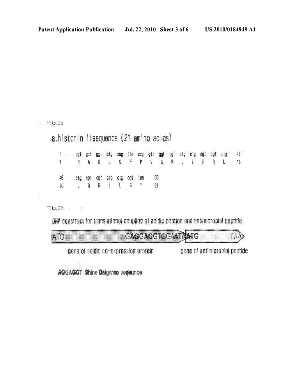 Method for the mass expression of an antimicrobial peptide by using a translational coupling system - diagram, schematic, and image 04