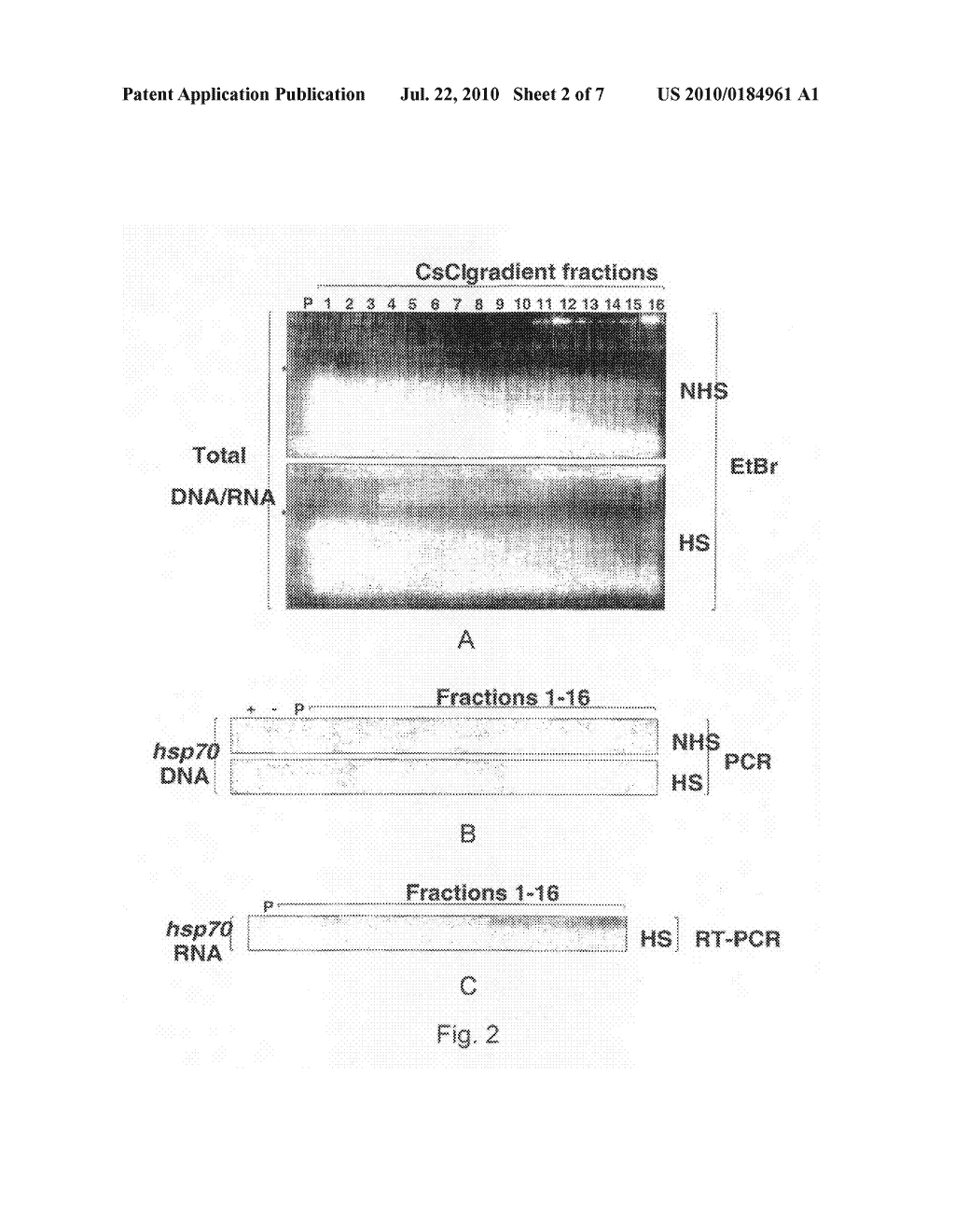 METHODS AND COMPOSITIONS RELATED TO CHROMATIN-ASSOCIATED PROTEINS AND OTHER FACTORS - diagram, schematic, and image 03