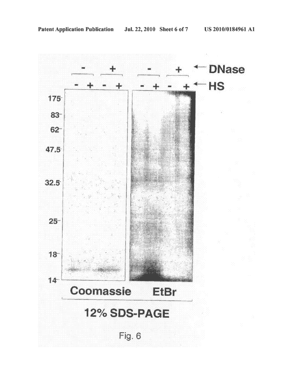 METHODS AND COMPOSITIONS RELATED TO CHROMATIN-ASSOCIATED PROTEINS AND OTHER FACTORS - diagram, schematic, and image 07