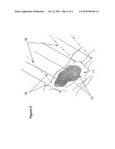 IDENTIFYING AND LOCALIZING TISSUE USING LIGHT ANALYSIS diagram and image