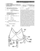 MODULAR PERCUTANEOUS VALVE STRUCTURE AND DELIVERY METHOD diagram and image