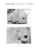 Nanorough Alloy Substrate diagram and image