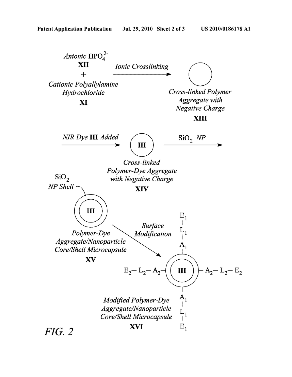 NEAR INFRARED DYE COMPOSITION - diagram, schematic, and image 03