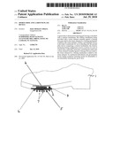 SPORTS SHOE AND A GROUND PLATE DEVICE diagram and image