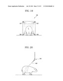 LIVESTOCK STERILIZING METHOD, LIVESTOCK STERILIZING APPARATUS, AND LIVESTOCK OR LIVESTOCK MEAT diagram and image