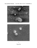 Continuous Methods for Treating Liquids and Manufacturing Certain Constituents (e.g., Nanoparticles) in Liquids, Apparatuses and Nanoparticles and Nanoparticle /Liquid Solution(s) Therefrom diagram and image