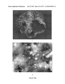 Continuous Methods for Treating Liquids and Manufacturing Certain Constituents (e.g., Nanoparticles) in Liquids, Apparatuses and Nanoparticles and Nanoparticle /Liquid Solution(s) Therefrom diagram and image