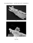 Continuous Methods for Treating Liquids and Manufacturing Certain Constituents (e.g., Nanoparticles) in Liquids, Apparatuses and Nanoparticles and Nanoparticle /Liquid Solution(s) Therefrom diagram and image