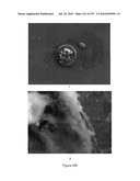 Continuous Methods for Treating Liquids and Manufacturing Certain Constituents (e.g., Nanoparticles) in Liquids, Apparatuses and Nanoparticles and Nanoparticle /Liquid Solution(s) Therefrom diagram and image