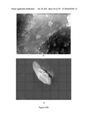 Continuous Methods for Treating Liquids and Manufacturing Certain Constituents (e.g., Nanoparticles) in Liquids, Apparatuses and Nanoparticles and Nanoparticle /Liquid Solution(s) Therefrom diagram and image