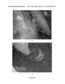 Continuous Methods for Treating Liquids and Manufacturing Certain Constituents (e.g., Nanoparticles) in Liquids, Apparatuses and Nanoparticles and Nanoparticle /Liquid Solution(s) Therefrom diagram and image