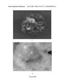 Continuous Methods for Treating Liquids and Manufacturing Certain Constituents (e.g., Nanoparticles) in Liquids, Apparatuses and Nanoparticles and Nanoparticle /Liquid Solution(s) Therefrom diagram and image