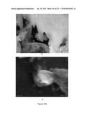 Continuous Methods for Treating Liquids and Manufacturing Certain Constituents (e.g., Nanoparticles) in Liquids, Apparatuses and Nanoparticles and Nanoparticle /Liquid Solution(s) Therefrom diagram and image