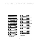 ELECTRONIC PACKAGE AND METHOD OF ASSEMBLING THE SAME diagram and image