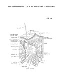 Systems, devices, and methods for making or administering frozen particles diagram and image