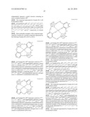 ORGANIC ELECTROLUMINESCENT DEVICE diagram and image