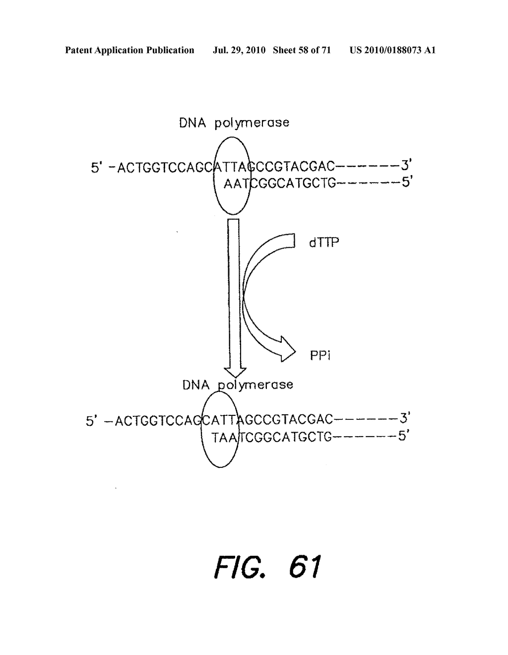 METHODS AND APPARATUS FOR MEASURING ANALYTES USING LARGE SCALE FET ARRAYS - diagram, schematic, and image 59