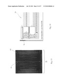 SYSTEMS AND METHODS FOR FOCUS PLUS CONTEXT VIEWING OF DENSE, ORDERED LINE GRAPHS diagram and image