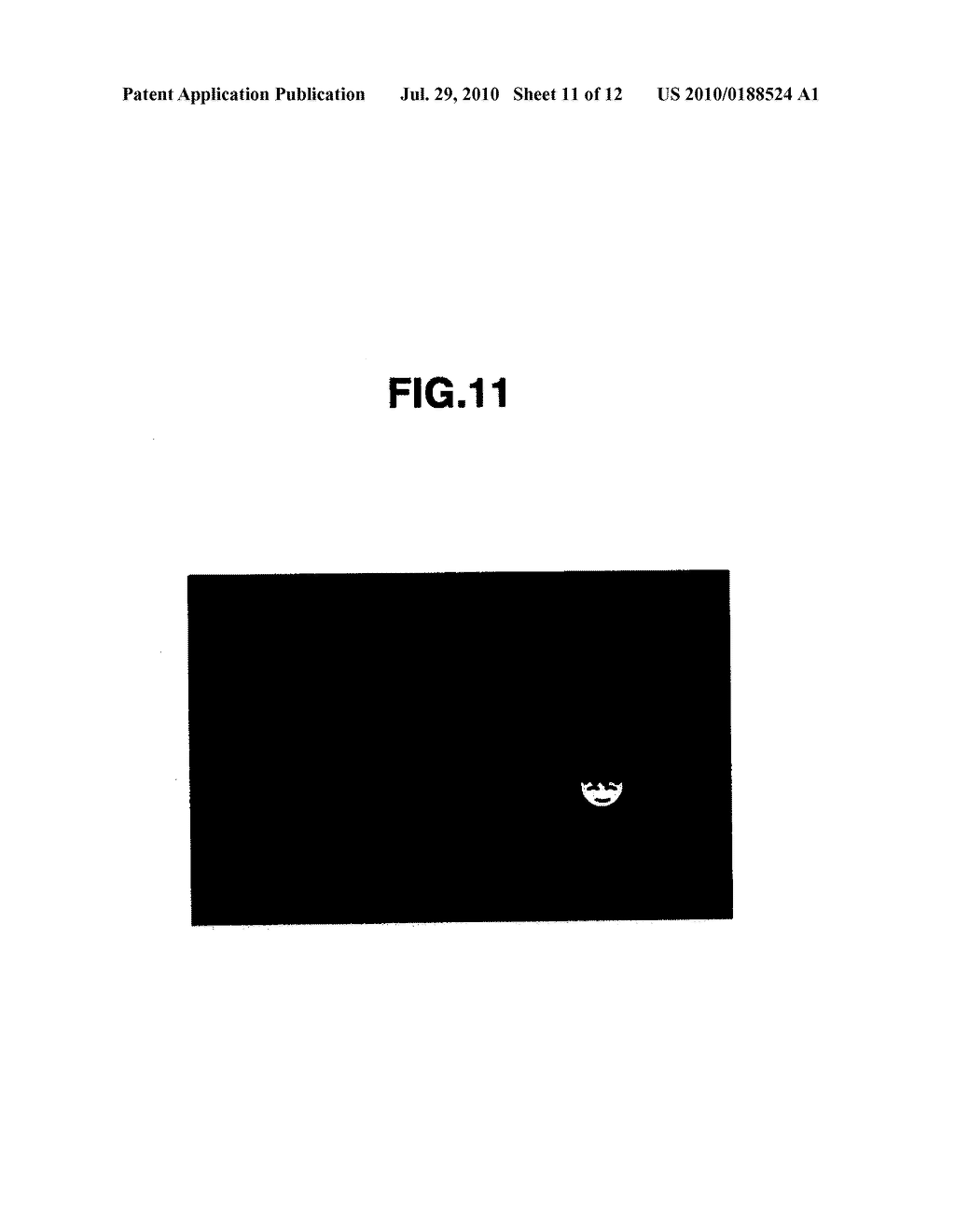 IMAGING DEVICE AND IMAGING METHOD - diagram, schematic, and image 12