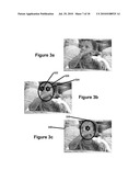 Perfecting the Effect of Flash within an Image Acquisition Devices Using Face Detection diagram and image