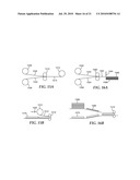 LIQUID CRYSTAL DISPLAYS WITH LAMINATED DIFFUSER PLATES diagram and image