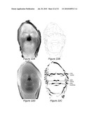 SYSTEM AND METHOD FOR USING THREE DIMENSIONAL INFRARED IMAGING TO IDENTIFY INDIVIDUALS diagram and image