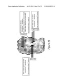 SYSTEM AND METHOD FOR USING THREE DIMENSIONAL INFRARED IMAGING TO IDENTIFY INDIVIDUALS diagram and image