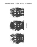 SYSTEM AND METHOD FOR USING THREE DIMENSIONAL INFRARED IMAGING TO IDENTIFY INDIVIDUALS diagram and image